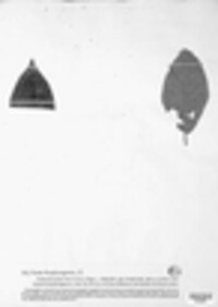 Thekopsora areolata image